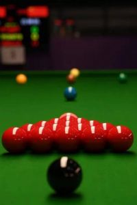 ˹ŵ����ɽ���繫�����ʸ���������