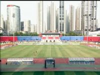 �������� ����������VS������ʨ������Ͷ 20240817