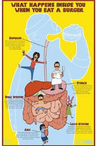 ���ĺ�����ڰ˼�