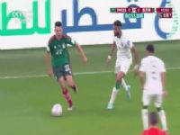 ɳ�ذ�����VSī����