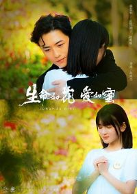 �����绨������[Ԥ��Ƭ]