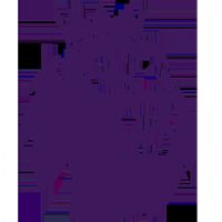 Ӣ������ ������VS������20260131