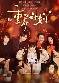 �����ƻ�