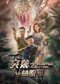 ͻϮ֮��������