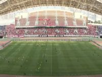 �������� ��������VS̩������ 20240427